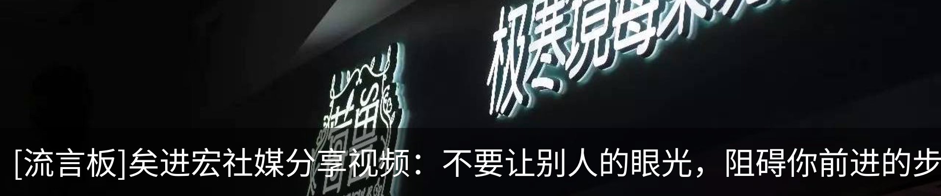 新闻动态